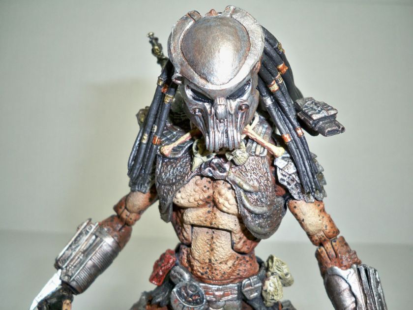 00011 ALIENS VS PREDATOR AVP CELTIC CUSTOM 8 INCH FIGURE MARVEL MOTU 