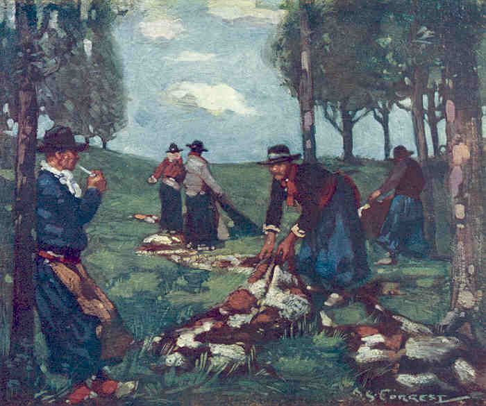 Argentina GUACHOS Spreading skins. Vintage Print.c1912  