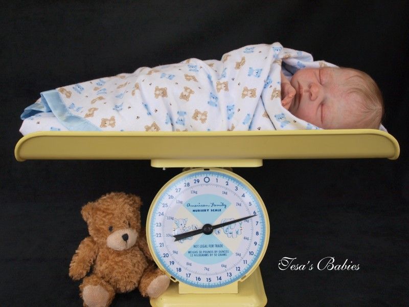 Tesas Babies ~ Reborn Baby Boy ~ Marita Winters LE Teddi Sculpt 