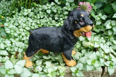 DOG STATUE ROTTWEILER DOGS FIGURINE PUPPY ROTWYLER 10in  