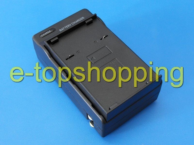 Battery Charger Panasonic VSB019 VSB 0200 VSB0200 VW VBH10E VW VBH20 