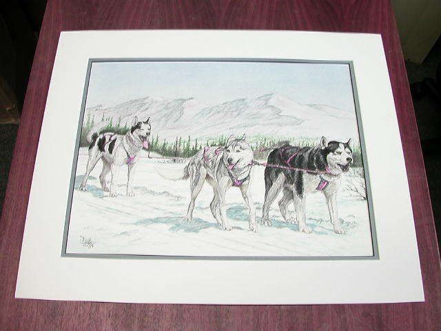 DAVID TOTTEN IDITAROD TRAIL SIBERIAN HUSKY DOG SLED RACE SIGNED 