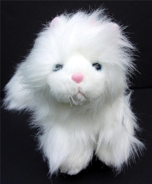 Webkinz Webkins Ganz Persian Cat New Rare  