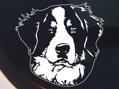 BERNESE MOUNTAIN DOG PORTRAIT DECAL  BERNER STICKER NEW  