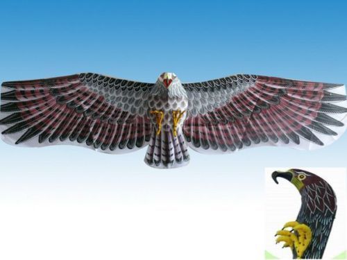 3D 59Huge Japanese Eagle Kite/Home Decor/Birthday Gift  