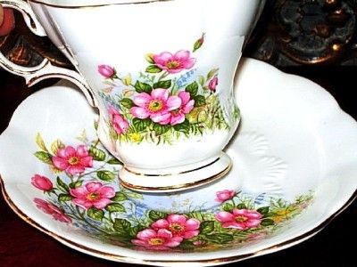 ROYAL ALBERT TEA CUP AND SAUCER FLORAL TEACUP SHELLS  