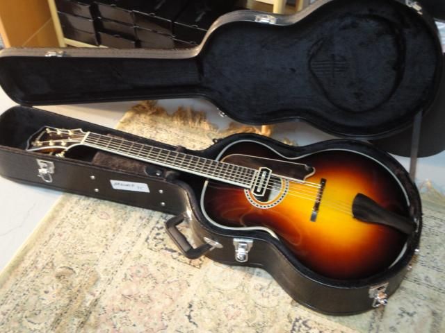   Hole Archtop with Seymour Duncan Charlie Christian Pickup   Sunburst