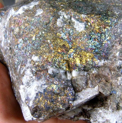 VEIN GOLD AND BORNITE ORE SPECIMEN 2x12683  