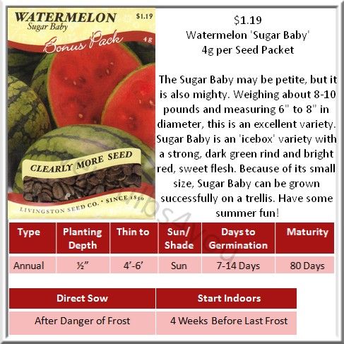 Cantaloupe / Melon Seeds Different Varieties  