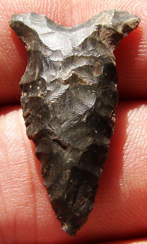 GREAT BASIN ARROWHEAD COLORFUL ELKO EARED DART MK 163  