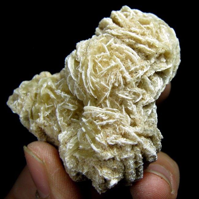 Gypsum Crystal Desert Rose Specimen gygx9ie1666  