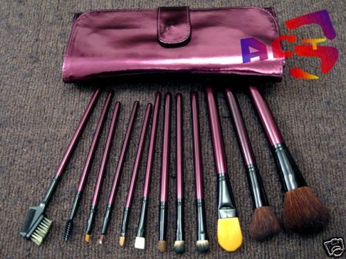 Coastal Scents 12pcs Metallic Plum Make Up Brush Set  