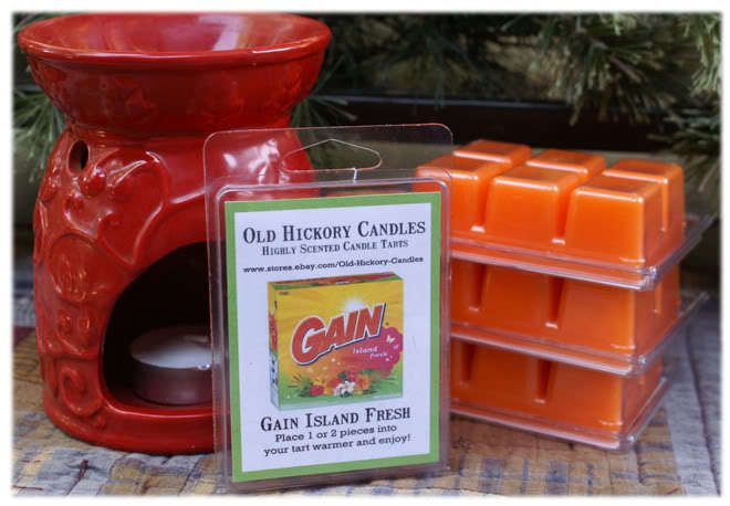 GAIN ISLAND FRESH Breakaway Candle Tarts ~ OLDHICKORY  