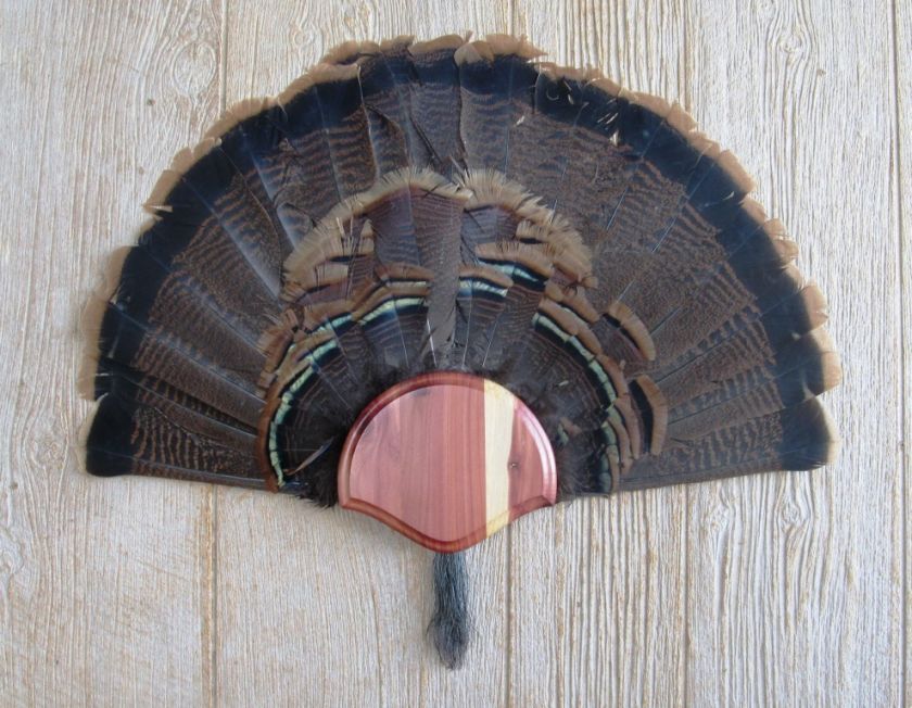 Solid Cedar Turkey Fan / Beard Mounting Kit  01  