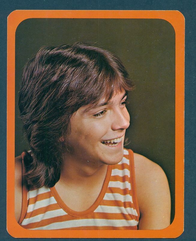 OZ 4.5x6.5 Postcard Modern David Cassidy Circa 1970s  