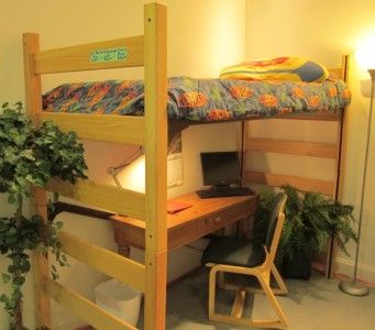 Solid Oak Adjustable Loft Bed  