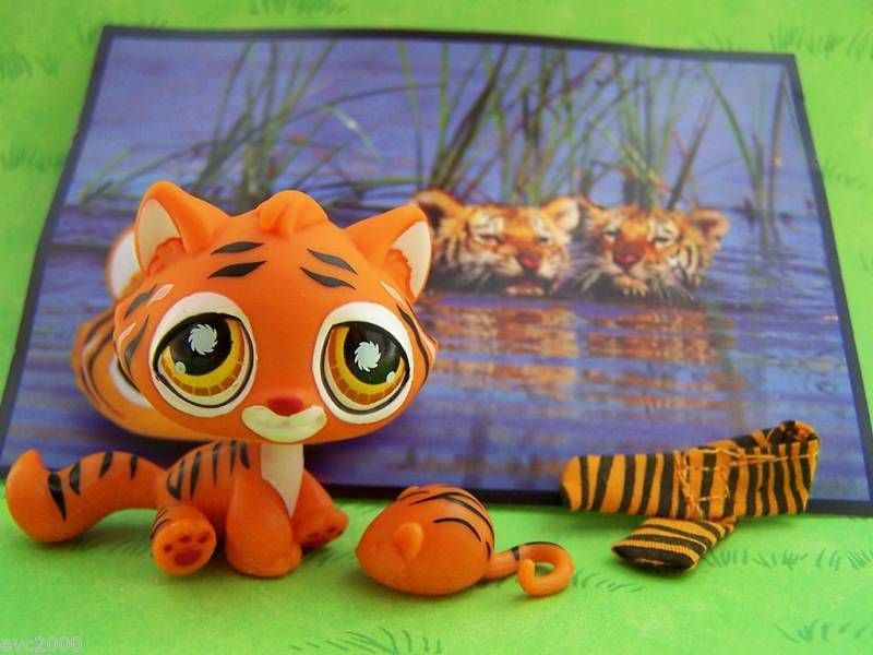 Littlest Pet Shop Postcard Pet *TIGER* #905 Lot *NEW*  