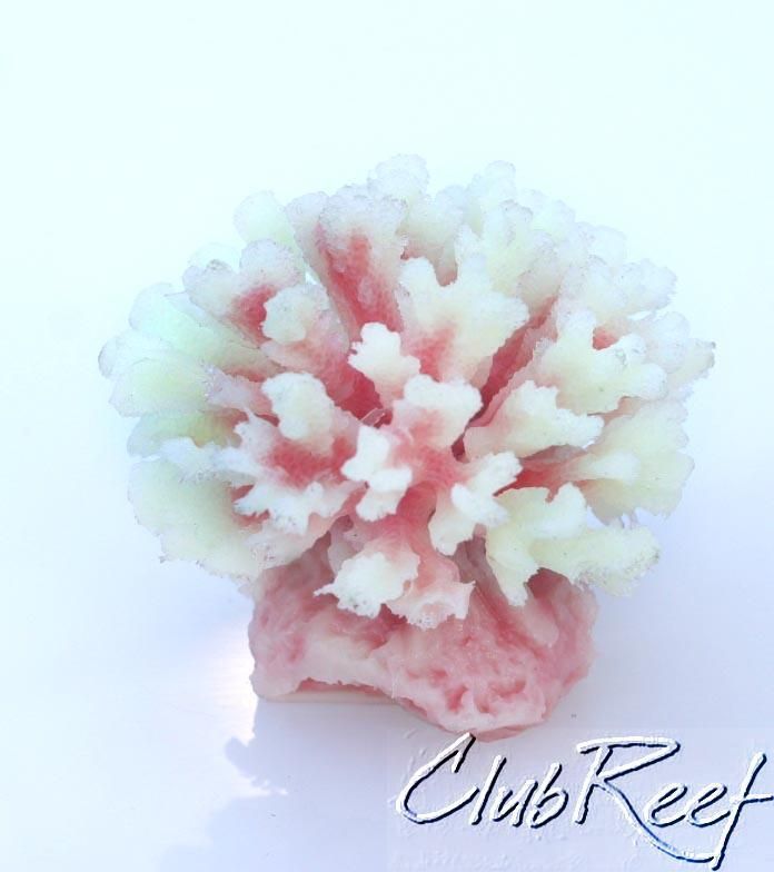 Pink Stylophora SPS Artificial Cats Paw Coral  