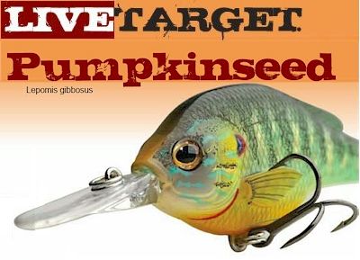 Koppers Pumpkinseed & Bluegill ~ Flat Sided Crankbaits  