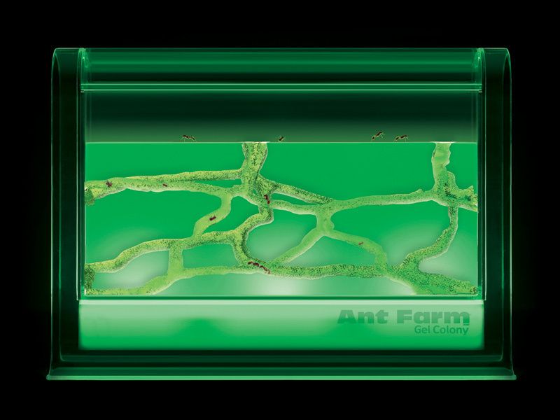 Illuminated LED Ant Farm Gel Colony FREE ANTS Kid Toys  