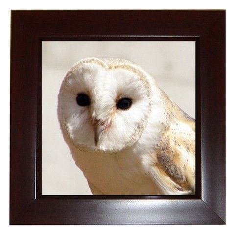 SNOW OWL Framed Tile Mosaic   GREAT GIFT  